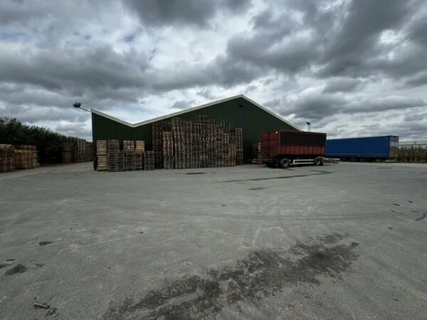 Opslagterrein aan de Graaf van Lynden van Sandenburgweg met opgestapelde houten pallets, een loods en twee vrachtwagenopleggers.